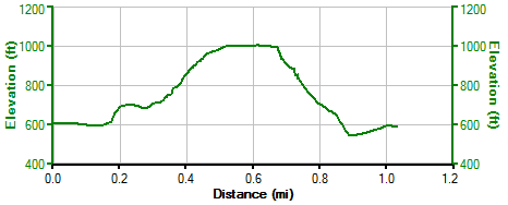 Race profile not available