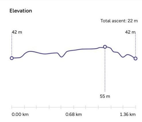Race profile not available